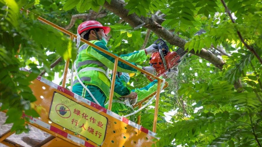 物流物業智能巡檢系統計劃